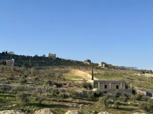 Farm Land for Sale in Zarqa Sarout