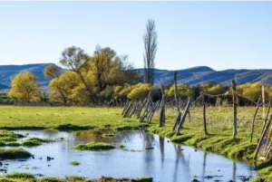 صور قابلة للطباعة جودة عالية
