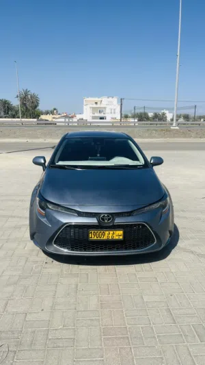 Used Toyota Corolla in Al Batinah