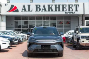 BYD TANG L 1.5T DM 215KM LiDAR Flagship 2025 (Grey)