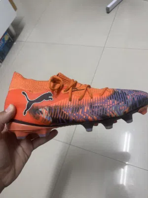 Puma future