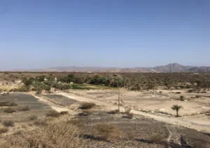 Farm Land for Sale in Al Sharqiya Other