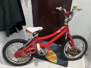 Fuji Rookie 16 Kids Bicycle – Good Condition