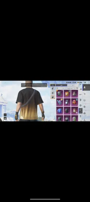 Pubg Accounts and Characters for Sale in Al Batinah