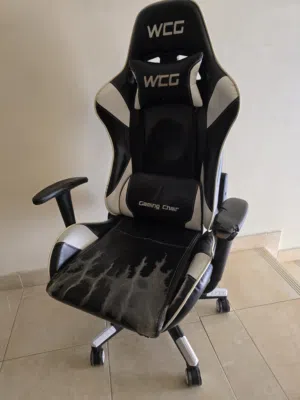 gaming chair (WCG)