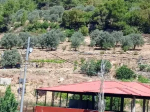 Mixed Use Land for Sale in Ajloun Downtown