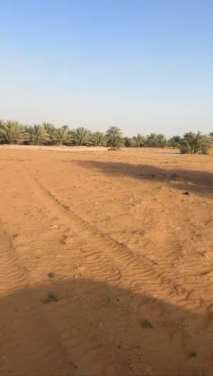 Farm Land for Rent in Al Ain Other