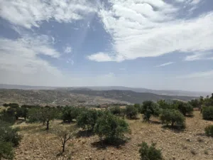 Mixed Use Land for Sale in Jerash Marsa'