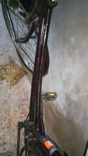 باسكل للبيع نضيف جديد كلشي مابي زلغ مابي