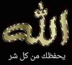 wael elwaseif 