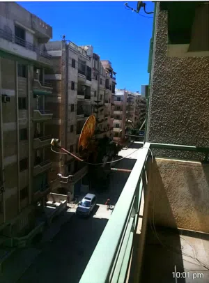 شقه مسجه من المالك شاطى النخيل