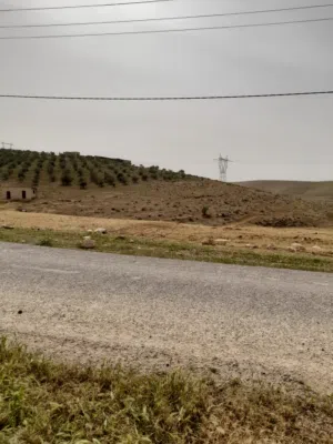 Farm Land for Sale in Mafraq Bala'ama