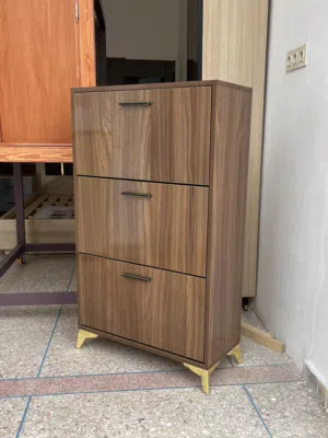 خزانة أحذية عصرية 3 طبقات موفرة للمساحة