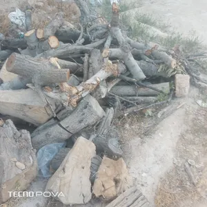 ‏تخييم ‏.‏ مستعمل‏2