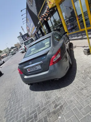 Used Nissan Maxima in Northern Governorate