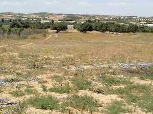 Mixed Use Land for Sale in Tunis Other