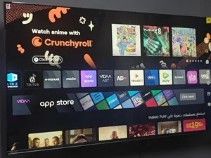 Hisense . QLED . 55 Inch0