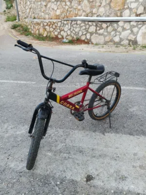 بسكليت جبلي