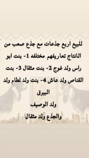 للبيع حلالي ضغط عالي