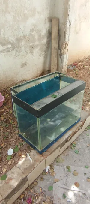 حوضين سمك زجاج