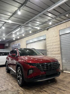 New Hyundai Tucson in Jericho