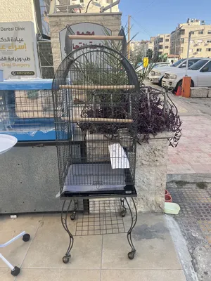 ‏إكسسوارات ‏.‏ طيور ودواجن‏4