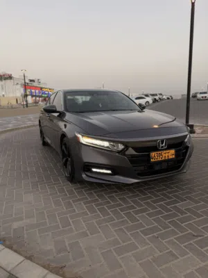 Used Honda Accord in Muscat