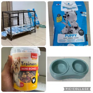 Puppy Cage - Food Plate - Puppy Food - etc..