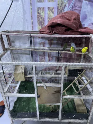 اثاث غراض بيت