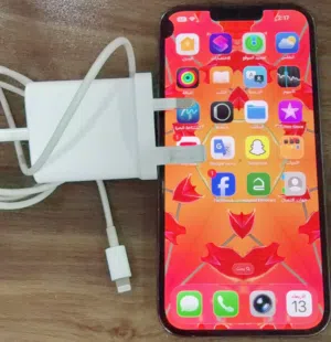 iPhone 13 pro max blue