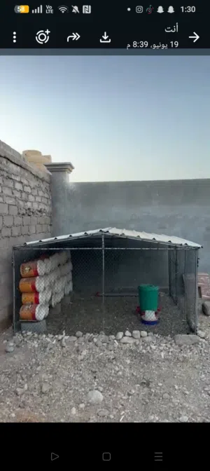 قفص ستخدام بسيط نظايف 3 ف 3 ارتفاع مترين