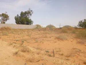 Mixed Use Land for Sale in Tripoli Wadi Al-Rabi
