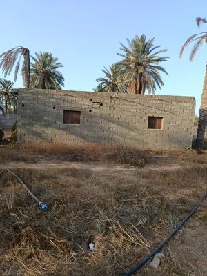 ‏خدمات العناية بالحيوانات‏3