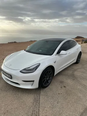 tesla 2019 sp model 3