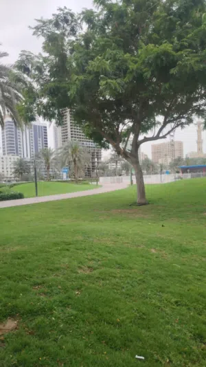 منصه عمولتي غيراراضي للبيع والايجار 