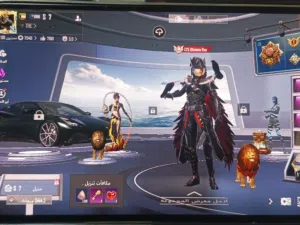 Pubg Accounts and Characters for Sale in Amman