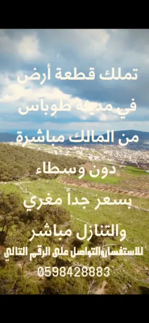 ‏الاستخدام المتعدد ‏.‏ 3520 م٢ ‏.‏ المالك‏2