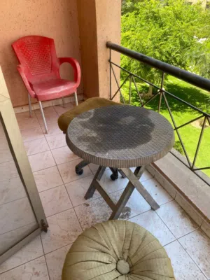 Furnished Monthly in Cairo Rehab City