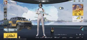 Pubg Accounts and Characters for Sale in Benghazi