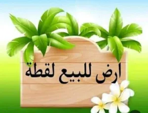 Residential Land for Sale in Amman Abu Alanda