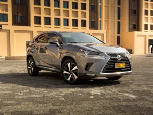 Lexus NX 300 GCC 2020 for sale