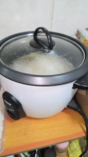 rice cooker for sale
