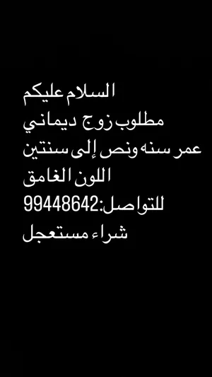 ‏غزلان‏4