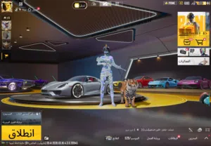 حساب ببجي للبيع