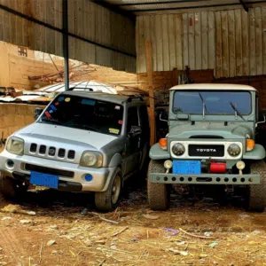 ربيع عارف الكيال 