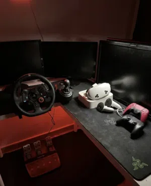 Full kit of Logitech G29 Wheel + Meta Quest 3S VR + 2x PS5 Controllers