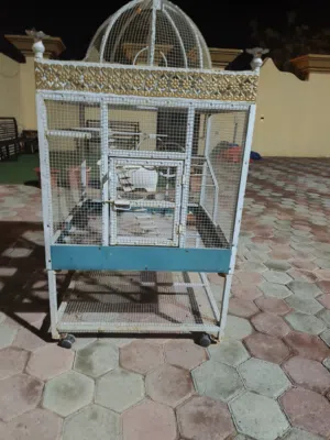 قفص للكاسكو او الحيوانات الاليفة