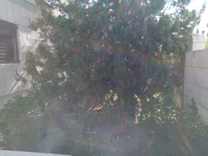 300 m2 4 Bedrooms Villa for Sale in Amman Shmaisani