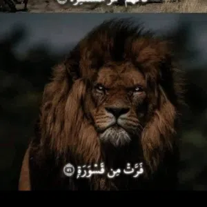 عبدو 