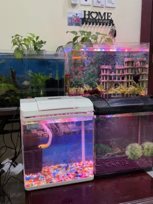 İf you like dont ask cheap price